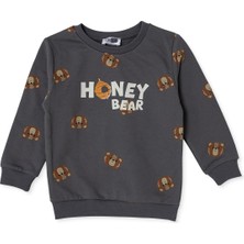 Hellobaby Erkek Bebek Sweatshirt Ayı Baskılı Bisiklet Yaka Uzun Kol