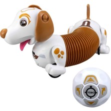 Valor Sil 88740 Robo Dash D Asorti