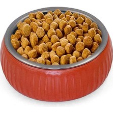 Aslanoğlu Store Kullanıma Uygun Mikopet Organik Seramik Mama Kabı Kiremit