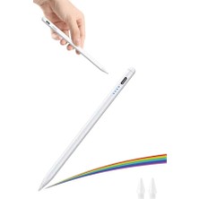 ALFA AKSESUAR 03 Dokunmatik Kalem Tablet Kalemi Çizim Stylus Kalem Yedek Uçlu