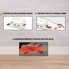 Raid Hamam Böcek Yemi 6 Adet 3 Ay Etkili Pratik Kokusuz - 12'li Paket