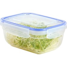 Dünya DP-30112-102 Saklama Kabı 800ML Beyaz Şeffaf Contalı Sızdırmaz Dikdörtgen - 12'li Paket