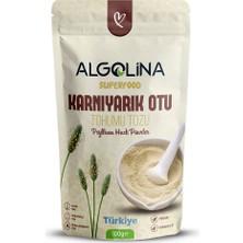 Algolina Karnıyarık Otu Tohumu Tozu 100 gr – Psyllium Husk & Plantago Ovata – Öğütülmüş Tohum Tozu