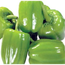 Ata Tohumu Tatlı Kandil Dolma Biberi 100 Adet Tohum