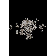 Serhat Aksesuar ve El İşçiliği Damla Inci 6X10 mm Kavuniçi Boncuk (20 gr Ortalama 125 Adet)