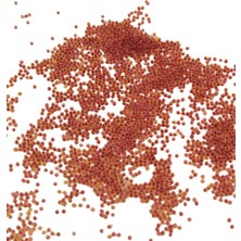 Serhat Aksesuar ve El İşçiliği Içten Boyalı Kırmızı (11/0) 2 mm Kum Boncuğu 100 gr