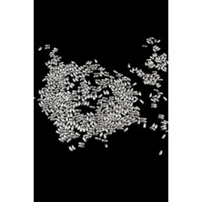Serhat Aksesuar ve El İşçiliği Inci Arpa Boncuk Gümüş Kaplama 3 mm (20 gr Ortalama 600 Adet)