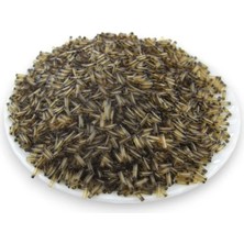 Serhat Aksesuar ve El İşçiliği 6x2 mm Siyah İçten Boyalı Boru Boncuk 100 Gr
