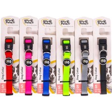 Pawstar Ally Paws Dog Collar Köpek Boyun Tasması Small 1,5CMX25-40CM (Asortili)