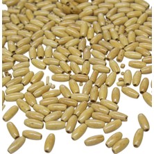 Serhat Aksesuar ve El İşçiliği 8 Mm Arpa 14x5 Mm Ham Ahşap Boncuk 34 gr (175 ADET)