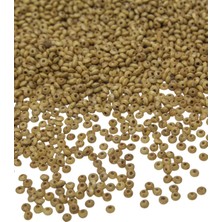 Serhat Aksesuar ve El İşçiliği 6 mm Aladdin Meşe Rengi Ahşap Boncuk 50 gr