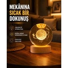 Ozka Concept Kız Figürlü Sarı Cam Küre Işıklı Büyük Boy Ahşap Standlı Dekor