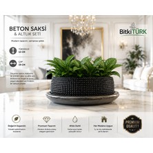 🌿 Bitkitürk Premium Beton Saksı ve Altlık Seti 21 cm Çap 12 cm Yükseklik Dekoratif Saksı Iç Mekan ve Balkon Kullanımına Uygun