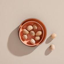 Muskat Cevizi 20 Gr.