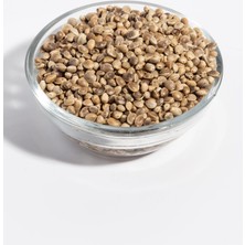 Kendir (Kenevir) Tohumu 250 Gr.
