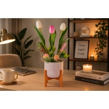 BGG 🌷 Ada Nordic – Tulip Harmony  Premium Lale Aranjmanı