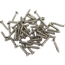 Hace Bazaar Nikel 1000 Adet Klips Vidası 2,2X13 mm Yhb - Konik Başlı Kutu, Sandık, Ayak, Askı,  Mini Vida