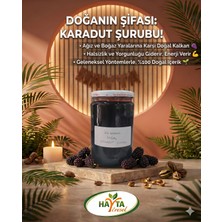 Ev Yapımı Doğal Ekşi Karadut Özü (Şurubu)