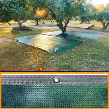 Morilu Zeytin Toplama Filesi – %75’lik Zeytin Sergenliği – Şeritli Halkalı Zeytin Yaygısı –  Hasat Filesi