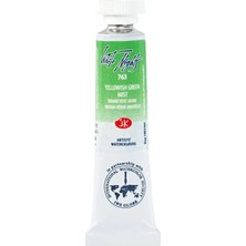 St. Petersburg White Nights Extra-Fine Tüp Sulu Boya 10 ml Yellowish Green Mist 763