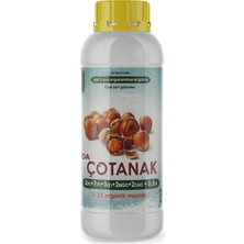 İda Ida  Çotanak   1  Lt