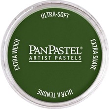 Panpastel Ultra Soft Artist Pastel Boya Chromium Oxide Green 26605