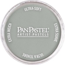 Panpastel Ultra Soft Artist Pastel Boya Pewter 29215