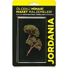 Jordania Maket Ağaç NW6070C 6cm 2li 1100