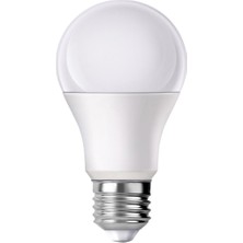 Powermaster PM-29496 E27 12 Volt 10 Watt 6500K Yerli Üretim Beyaz LED Ampul