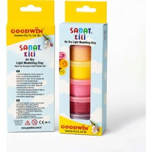 Goodwin Sanat Kili Seti 20 gr x 6 Renk