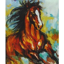 Magic Art Sayılarla Boyama Tuval 40X50 cm At