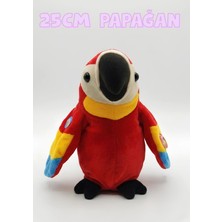 Boratila Toys 25 cm Sevimli Ses Tekrar ve Müzik Özellikli Peluş Papağan Oyuncak