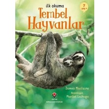Beei Ilk Okuma - Tembel Hayvanlar