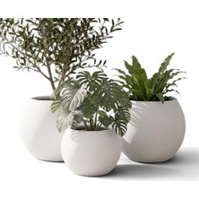 Zevli Japandi Tarzı Modern Küre Saksı 3'lü Set - Su Sızdırmaz Dekoratif Salon ve Balkon Saks�