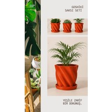 Asitan Lotus Dalga Mini Saksı 3'lü Set – 8x8 cm Altlıklı | Spiral Tasarım, Iç Mekan Bitkisi, Tabak