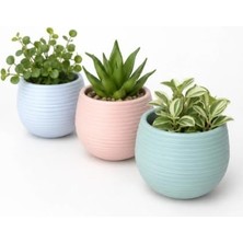 Asitan Dekoratif Iskandinav Mini Saksı Seti, 8x7 Cm, Pembe, Plastik, Kaktüs ve Sukulent Bitkiler Için,