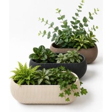 Asitan 3'lü Uzun Saksı Seti, 1,3 Litre, Karışık Renkli, Plastik, Dikdörtgen, 25-30 cm