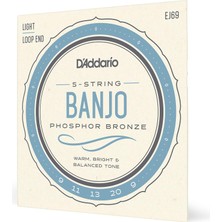 D'addario EJ69 Nickel-Plated Steel Banjo Teli (09–20)