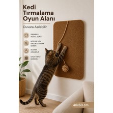 Minuz Duvara Yapışan Oyuncaklı Kedi Tırmalama Halısı ve Oyun Alanı 40X60 cm
