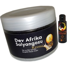 Aydogan's Giant Anti-Aging 100ML Dev Afrikasalyangozu Kremi + L.kamasutra Analtightening Krem 60 ml