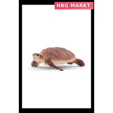 HBG Markt Mey Ithalat® Deniz Kaplumbağası
