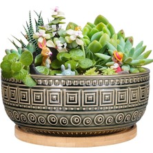Iç Mekan Bitkileri Için 20,5 cm Seramik Sukulent Saksıları Yuvarlak Sığ Bonsai Saksı Drenaj