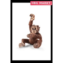 HBG Markt Mey Ithalat® Yavru Orangutan
