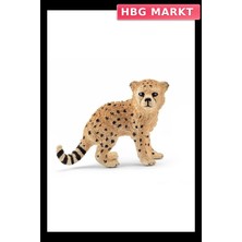 HBG Markt Mey Ithalat® Yavru Çita
