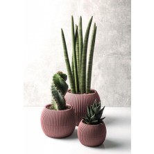 Krs Mercan Dekoratif Kaktüs Sukulent Plastik Saksı Takımı 3'lü Set Soft Pembe