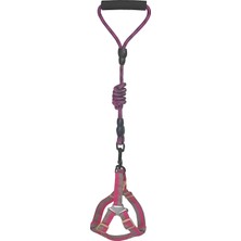 Melonika Köpek Göğüs Tasma Seti Daa Desenli 2 Cm*40-58 cm Mor-Pembe