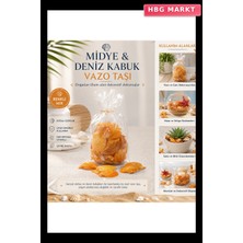 HBG Markt Poşetli Renkli Mix Midye Deniz Kabuk Vazo Taşı