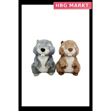 HBG Markt Mey Ithalat® PB31609-23 Peluş Oturan Sincap 23 cm