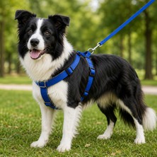 Melonika Gezdirme Kayışlı Dokuma Köpek Göğüs Tasma Seti 40*60-110 cm Mi
