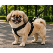 Melonika Gezdirme Kayışlı Dokuma Köpek Göğüs Tasma Seti 32*47-110 cm Siyah